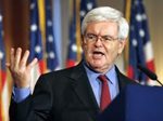 newt,gingrich,muslim,brotherhood