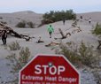 California's Drought Bringing Rattlesnakes Out in Full Force