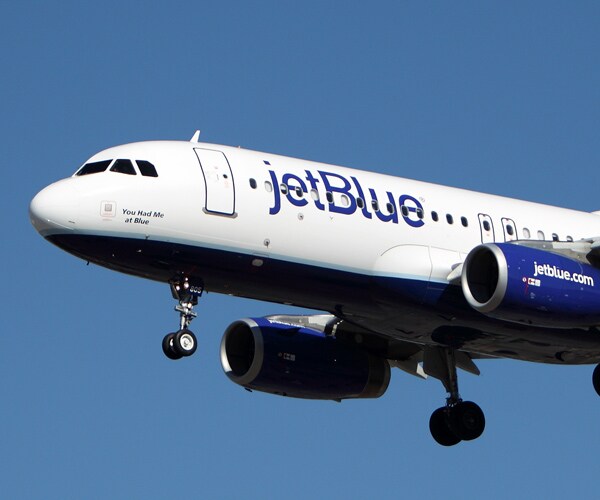 JetBlue Flight Bird Strike Forces JFK Emergency Landing