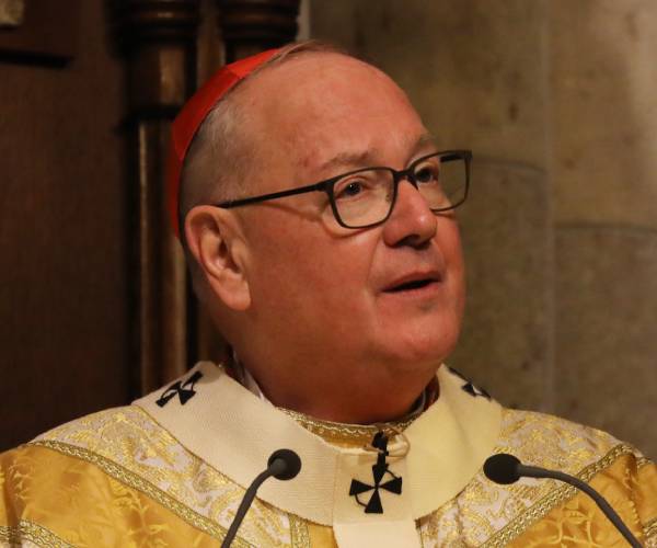 dolan speaking during mass