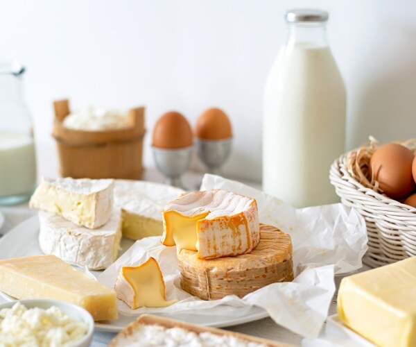 cheese, milk, eggs and more dairy products