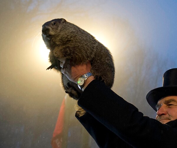 what does groundhog day say