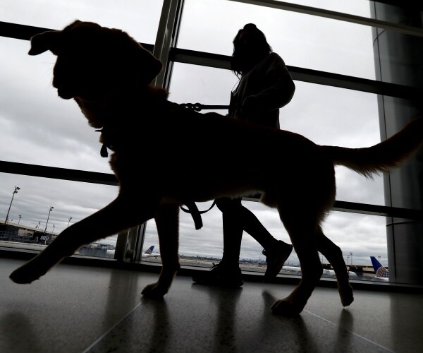 person walking dog through airport