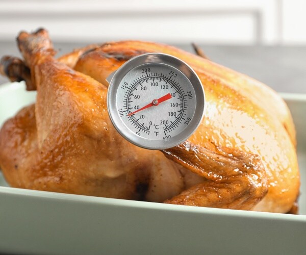 turkey in pan with a food thermometer in it