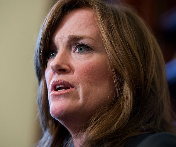 Rep. Kathleen Rice: NRA Becoming 'Domestic Security Threat'