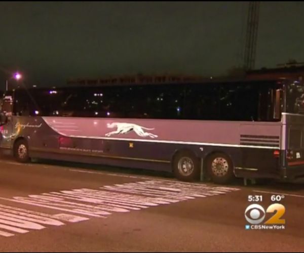 Stolen Greyhound Bus the Latest Antic for 'Serial Mass Transit Thief'