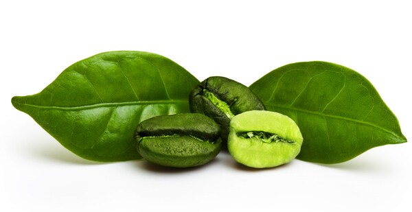 Green Coffee Extract Benefits for Diabetes: Studies Show Positive Impact on Blood Sugar