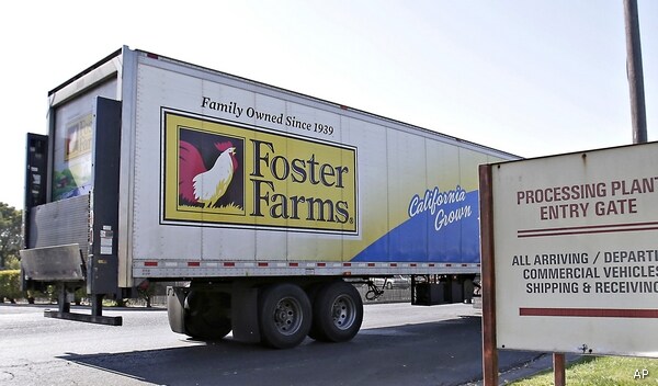 Foster Farms Outbreak Not Over; 51 New Salmonella Cases Reported