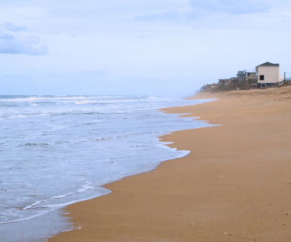 Shark Bites: New Smyrna Beach Surfers, 3 of Them, Bitten Hours Apart