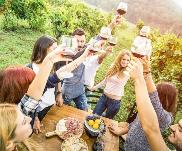 young adults at an outside get together cheering with red wine