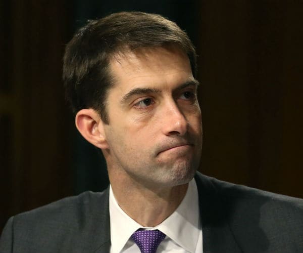 Former Trump Adviser: Mia Love, Tom Cotton Possible VP Picks