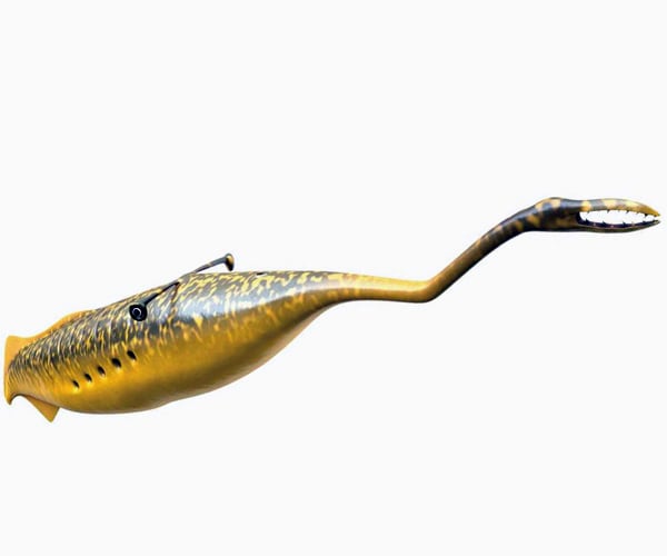 Tully Monster Gets a Backbone 50 Years After Fossil Discovered