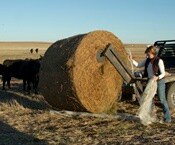 Tiny AI Devices Aim to Enrich Farmers and Their Soil