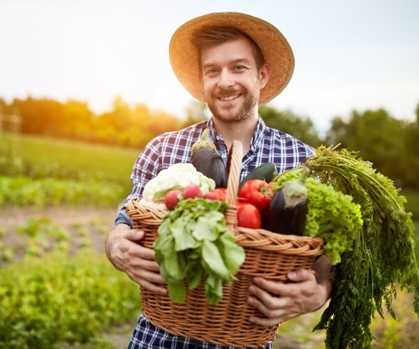 farmer carrying basket with organic vegetables