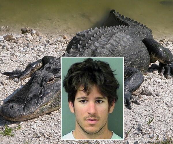 Man Throws Gator at Wendy's, Finds Out It's a Deadly Weapon