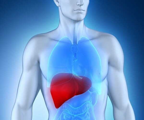 illustration of body with liver highlighted 