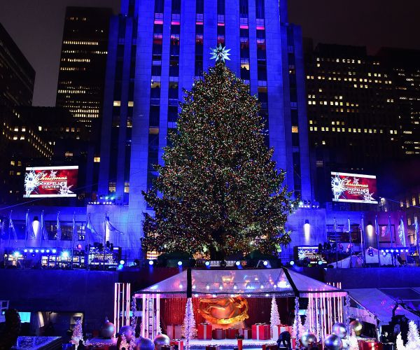 Rockefeller Center Tree Coming From a Backyard in Upstate NY