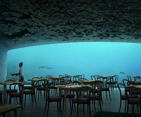 Norway Underwater Restaurant: Watch the Fish While You Dine