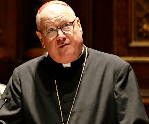 cardinal timothy dolan looks up incredulously