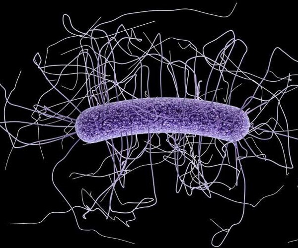 Sugar Additive Superbug Link: Trehalose Fueling C. Difficile?