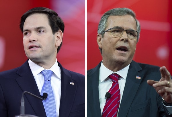 Marco Rubio, Jeb Bush in Dead Heat in Florida: Poll