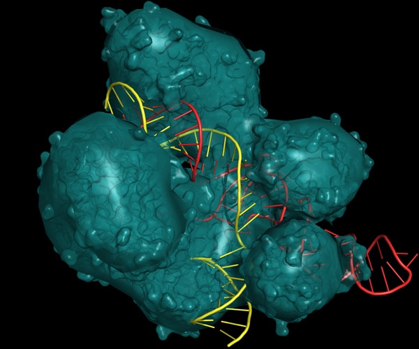 CRISPR Gene-Editing Cancer Breakthrough in Human Trials