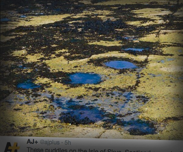 Scotland's Dinosaur 'Disco': Hundreds of Preserved Footprints Found