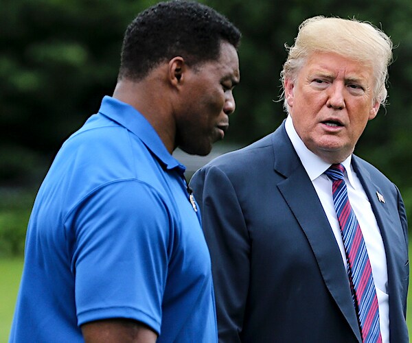 hershel walker walks with president donald trump on the white house south lawn