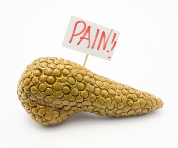 pancreas model with a sign stuck in that says "Pain!"