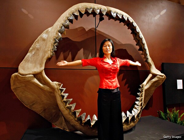 Megalodon Giant Shark: Discovery Channel Asks If It Still Exists