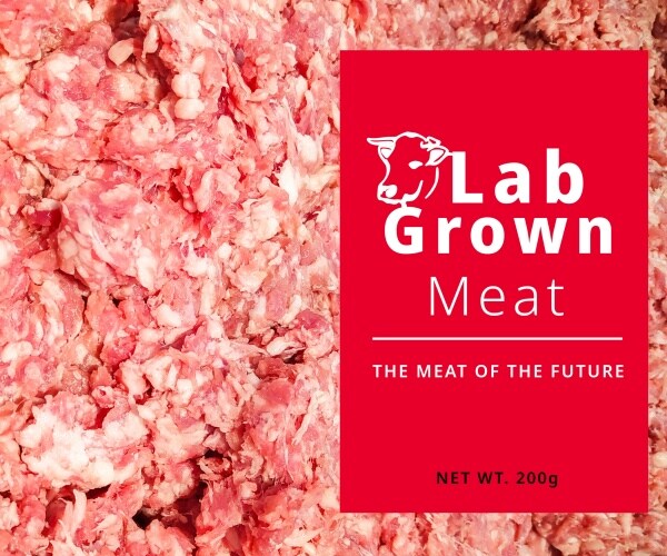 lab-grown meat 