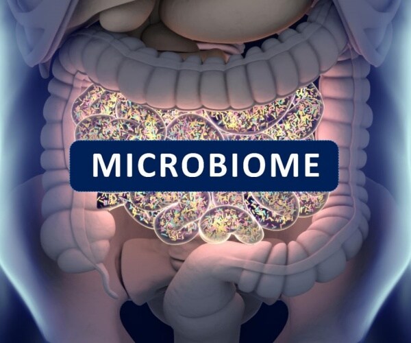 illustration of gut microbiome