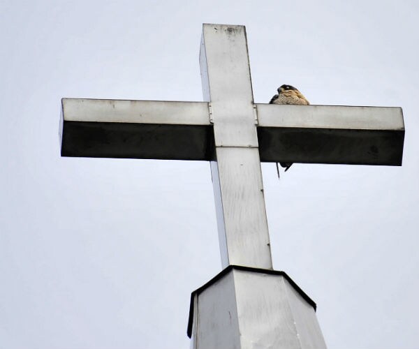 Mexican Archdiocese: Those Working on Trump Border Wall Are 'Traitors'