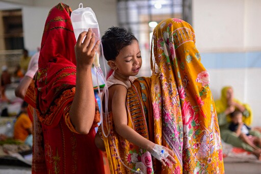 Dengue Outbreak in Bangladesh Sparks Alarm after 364 People Die This Year and Infections Rise