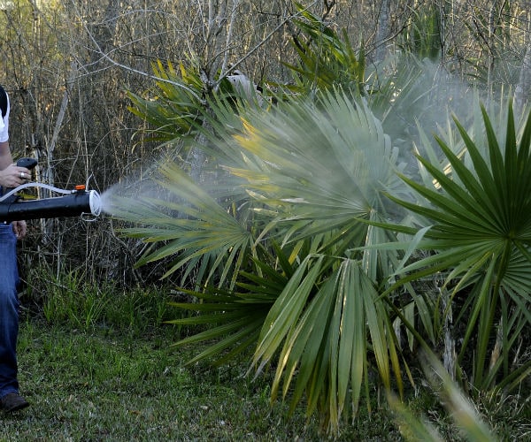 Study: Pesticides May Be Behind Cuba Embassy Sonic Attacks