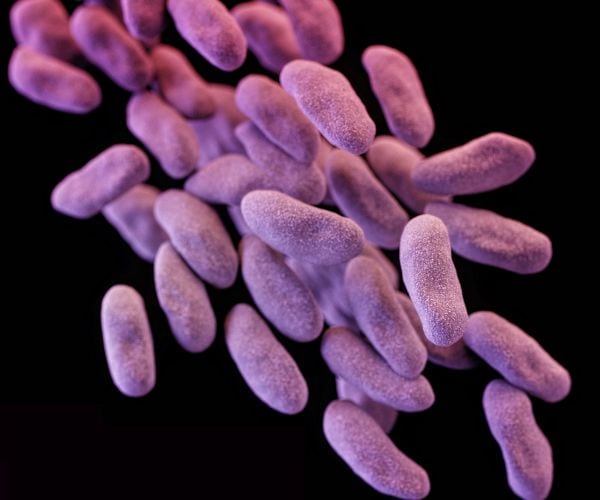 Superbugs List: World Health Organization Names Top 12 Threats