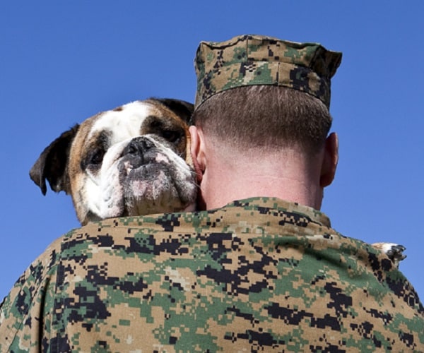 Marine, 3-Legged Dog Reunited