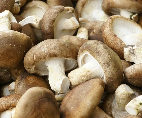 Mushrooms Beat Diabetes