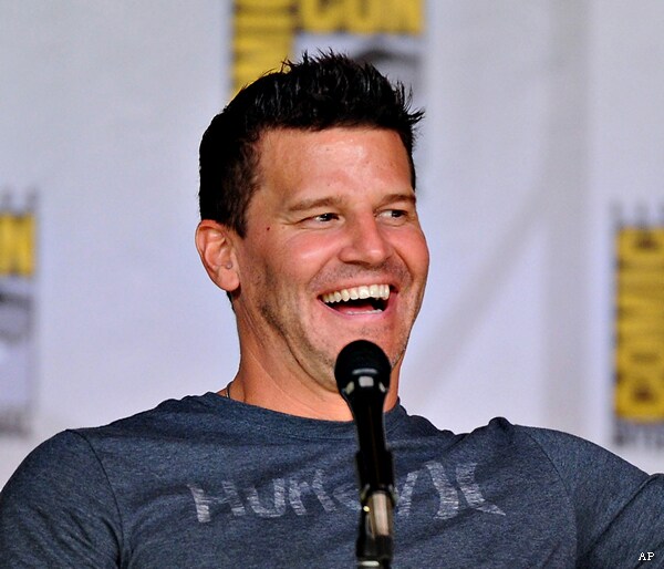 David Boreanaz Leaving 'Bones' Rumored, Actor Denies Exit on Twitter