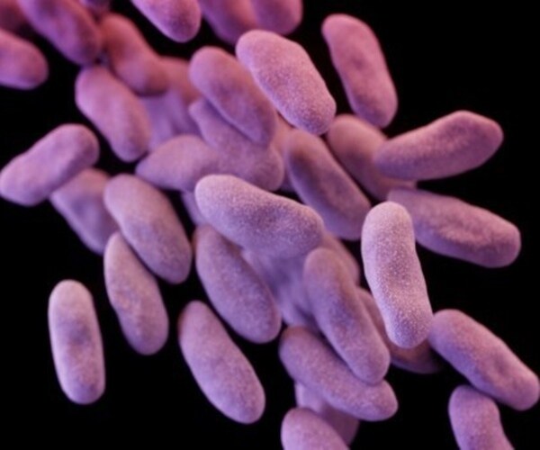 New Incentives Needed to Develop Antibiotics to Fight Superbugs