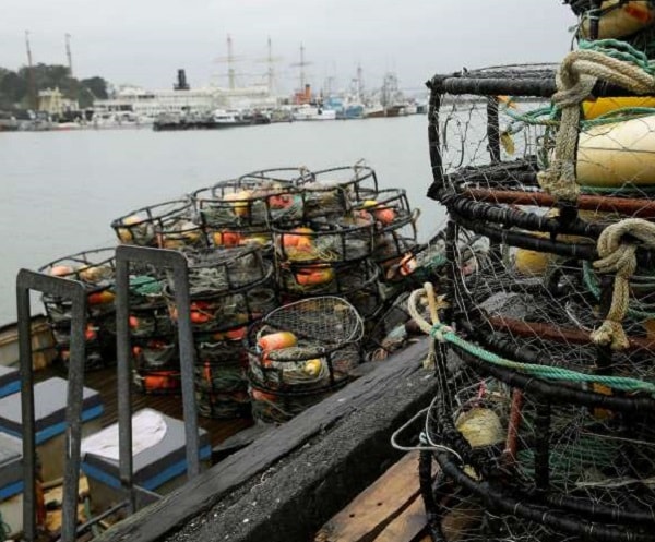 Crab Strike: Boats Stay Tied Up as Seafood Processors Offer Less ...