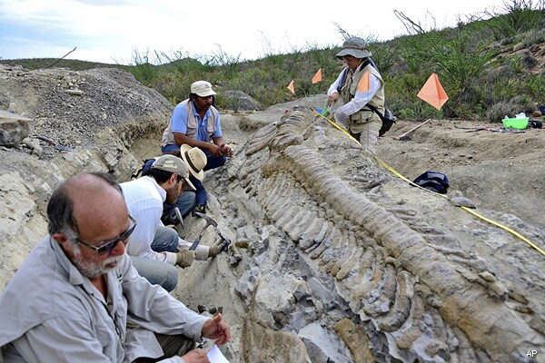 Paleontologists Discover Dinosaur Tail in Northern Mexico 