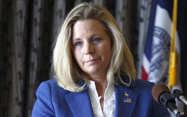 Liz Cheney: I'm No 'Carpetbagger' or 'Bored Housewife'