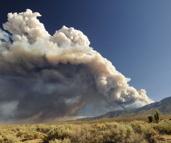 Socialist Firefighting Lets Everyone Feel the Burn