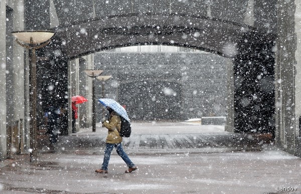 Snow Blankets East; Washington Offices, Many Schools Closed