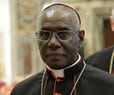 Conservative African Cardinal Who Clashed with Pope Leaves Post 