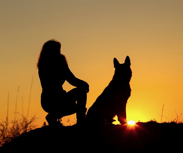 7 Hero Dogs Who Saved Their Owners' Lives