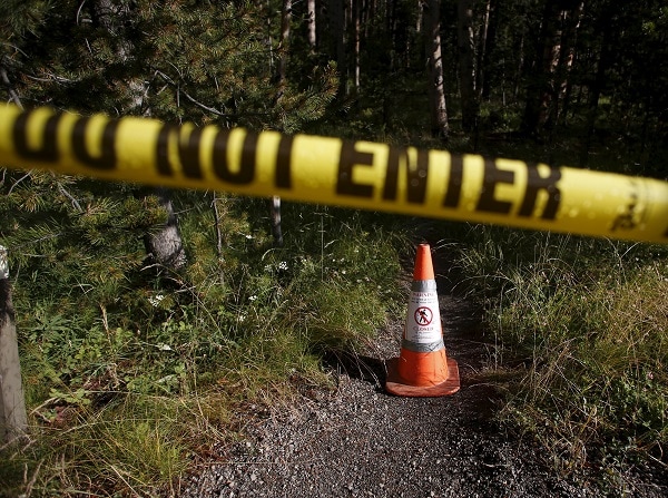 Bear Kills Hiker at Yellowstone, Hides Partially Devoured Body