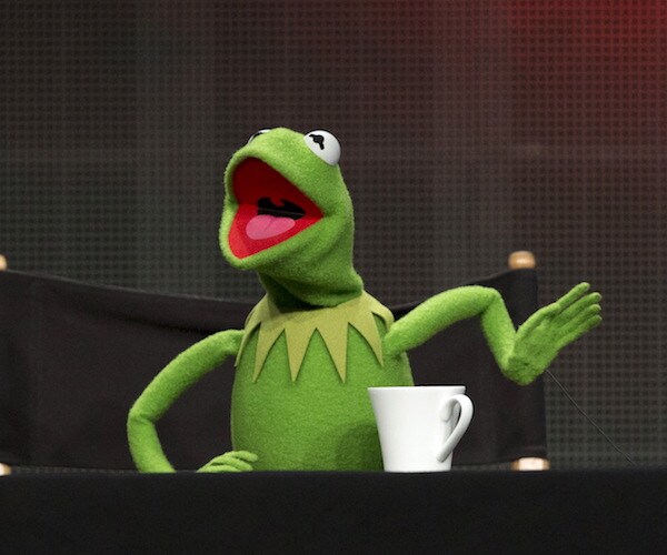 Fired Voice of Kermit the Frog Says He's 'Devastated'