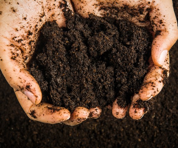 hands hold soil